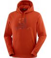 Compra online Sudadera Salomon OutLife Pullover Hoody Aura Orange en oferta al mejor precio